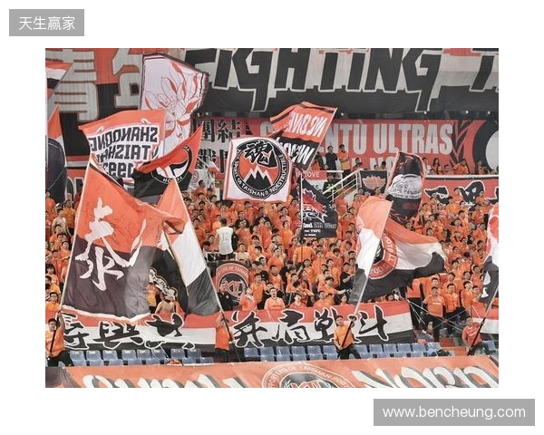 苗原谈泰山引援:账户里有200万水平购买力 但文旅决策尽量少花钱 苗原谈泰山引援:账户里有200万水平购买力 但文旅决策尽量少花钱